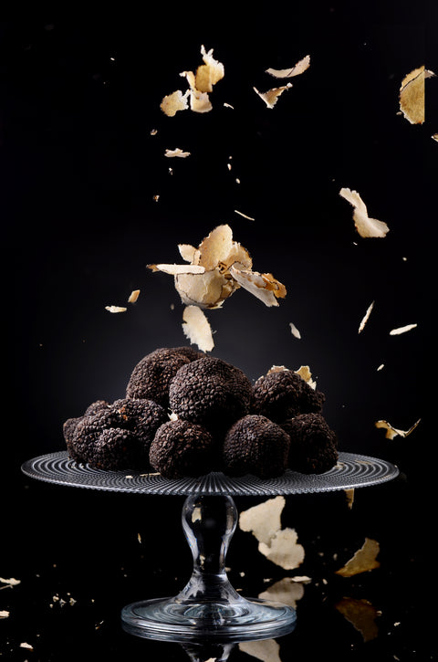 The Essence of Istria: A Journey Through Truffle Country