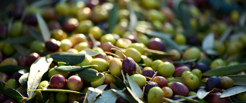 The Ultimate Guide to Estimating and Optimizing Your Olive Oil Consumption